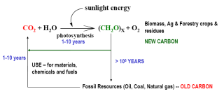 生物碳和化石碳